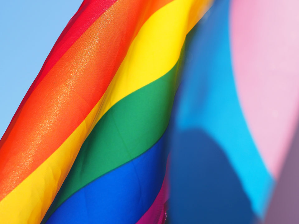 A Rainbow Pride flag and a Trans Pride flag.